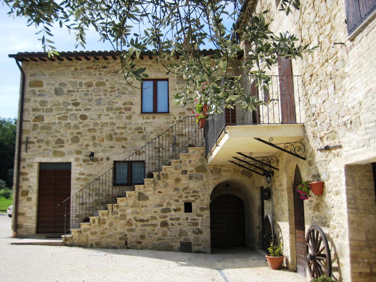 Villa Colle di Rocco - Housity