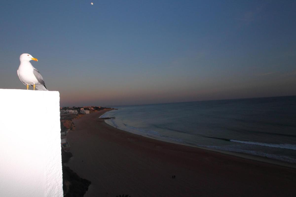 Paisagem natural perto do hotel