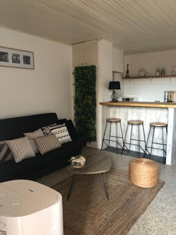 Superbe Cocoon Rive gauche Palavas - Housity