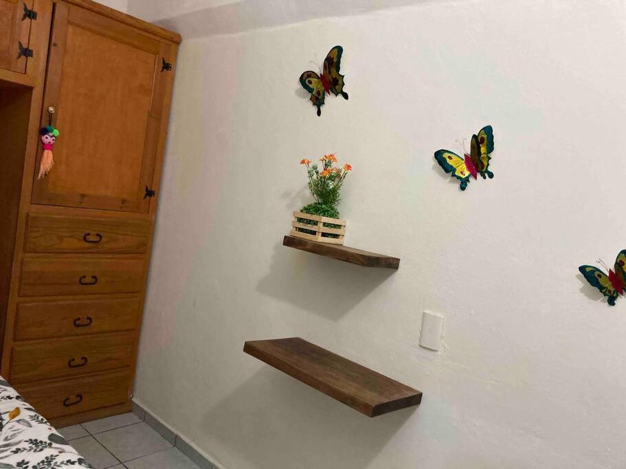 Acogedora habitación privada en Jalatlaco - Housity