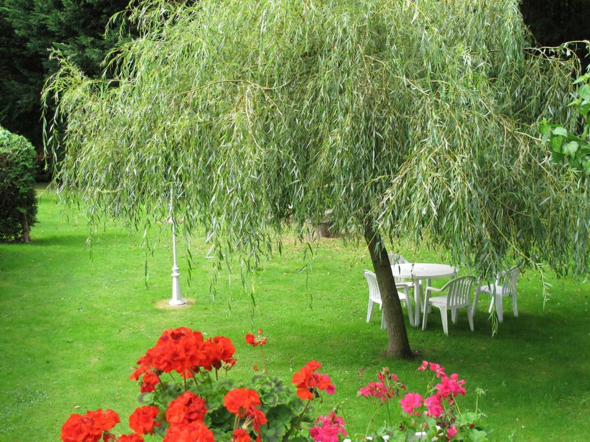 Jardin de l'établissement Logis Deshors-Foujanet