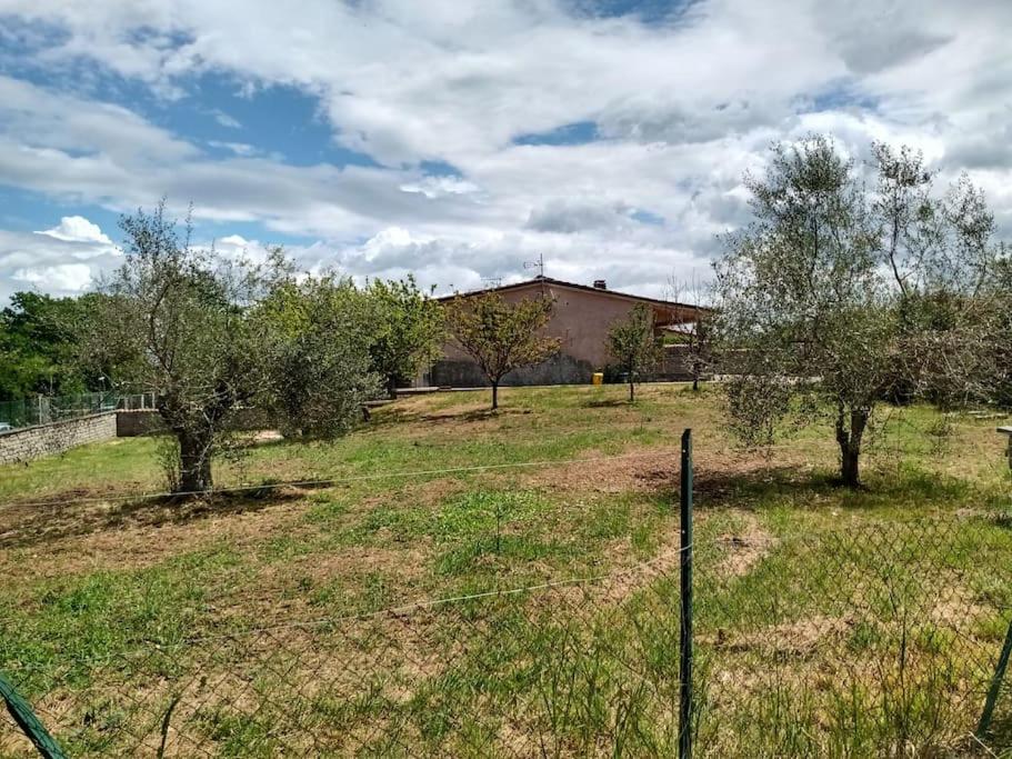 Agriturismo Strada Ortana 14, E - Housity