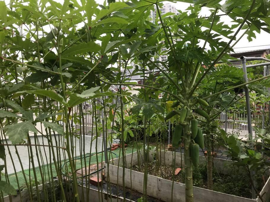 Cosy big house 5min CIQ SOGO KSL mall 4BR 12Pax - Housity