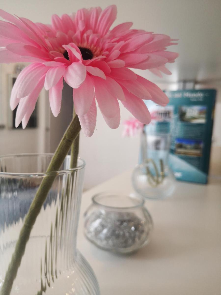 Suitetrails - Apartamento Rosa Puerta del Sol