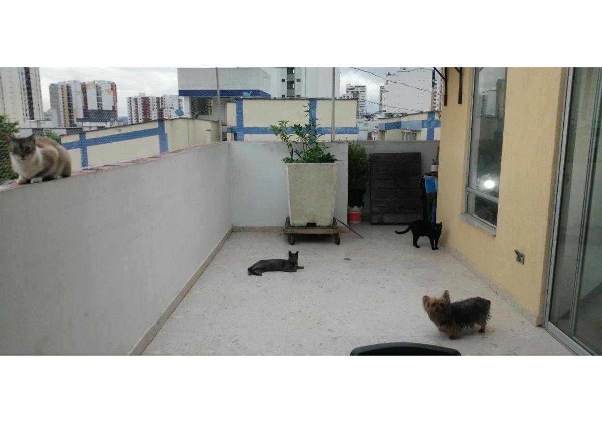 Habitación privada en apartamento con terraza - Housity