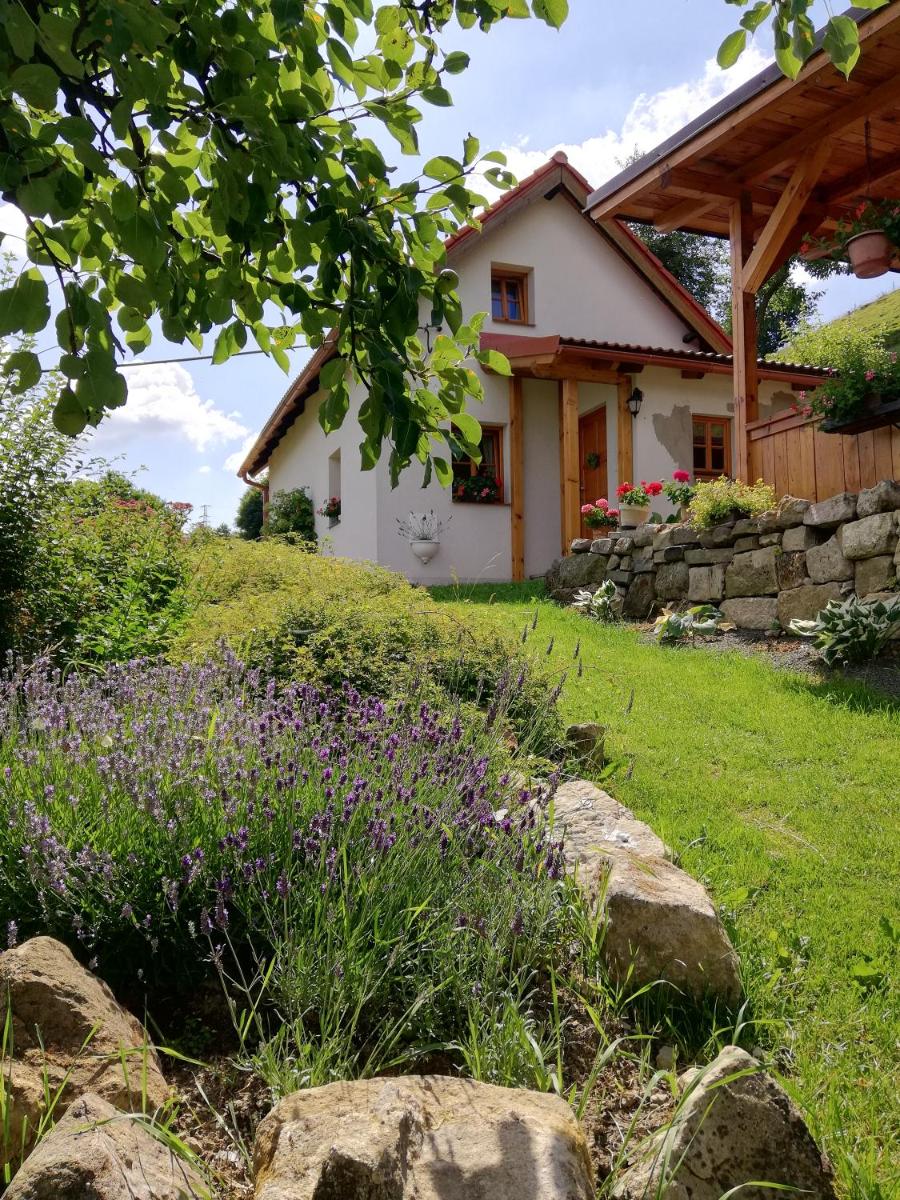 charming house with beautiful landscape - Housity