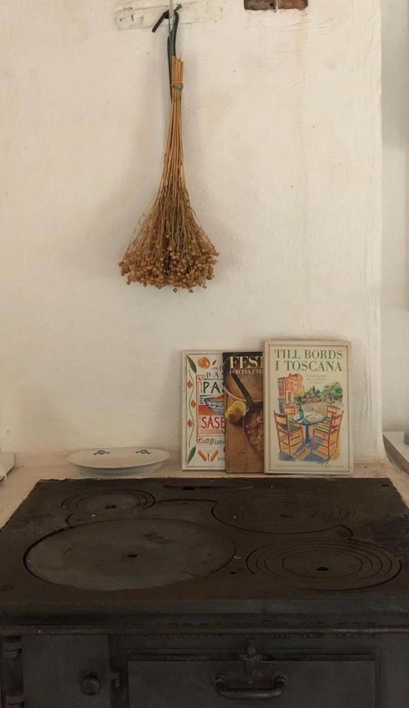 Seaside Cottage Haga Park - Housity