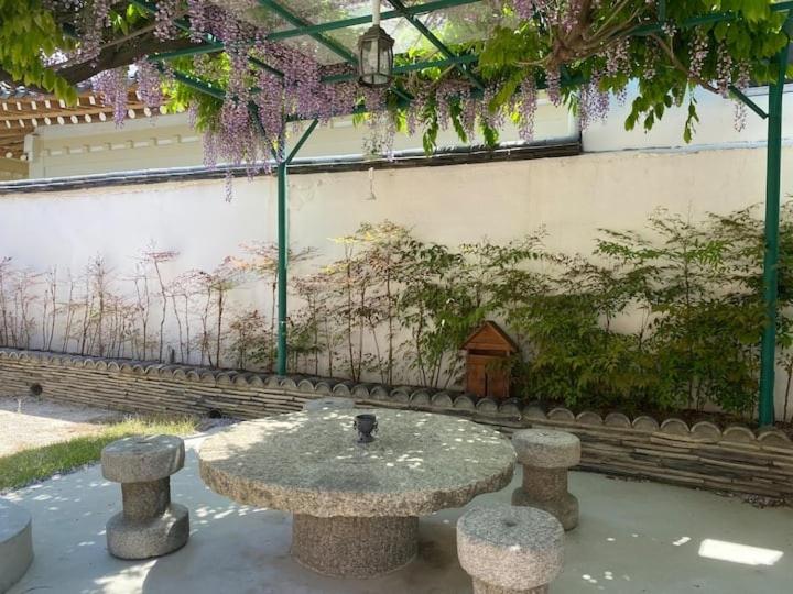 Adam Guesthouse - Housity