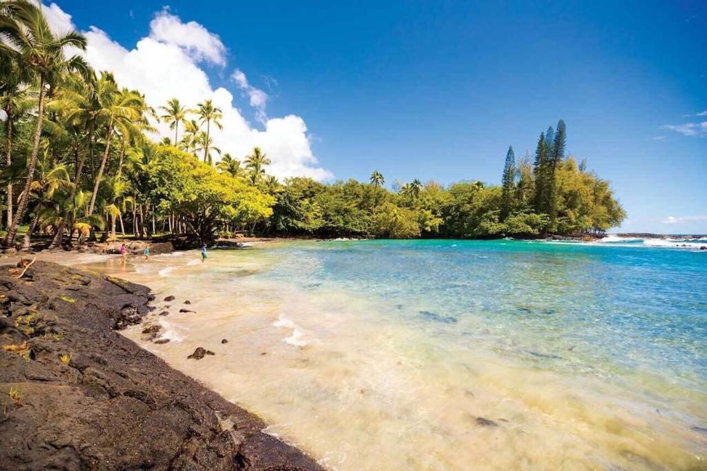 Blue Hawaiian Rentals - Housity