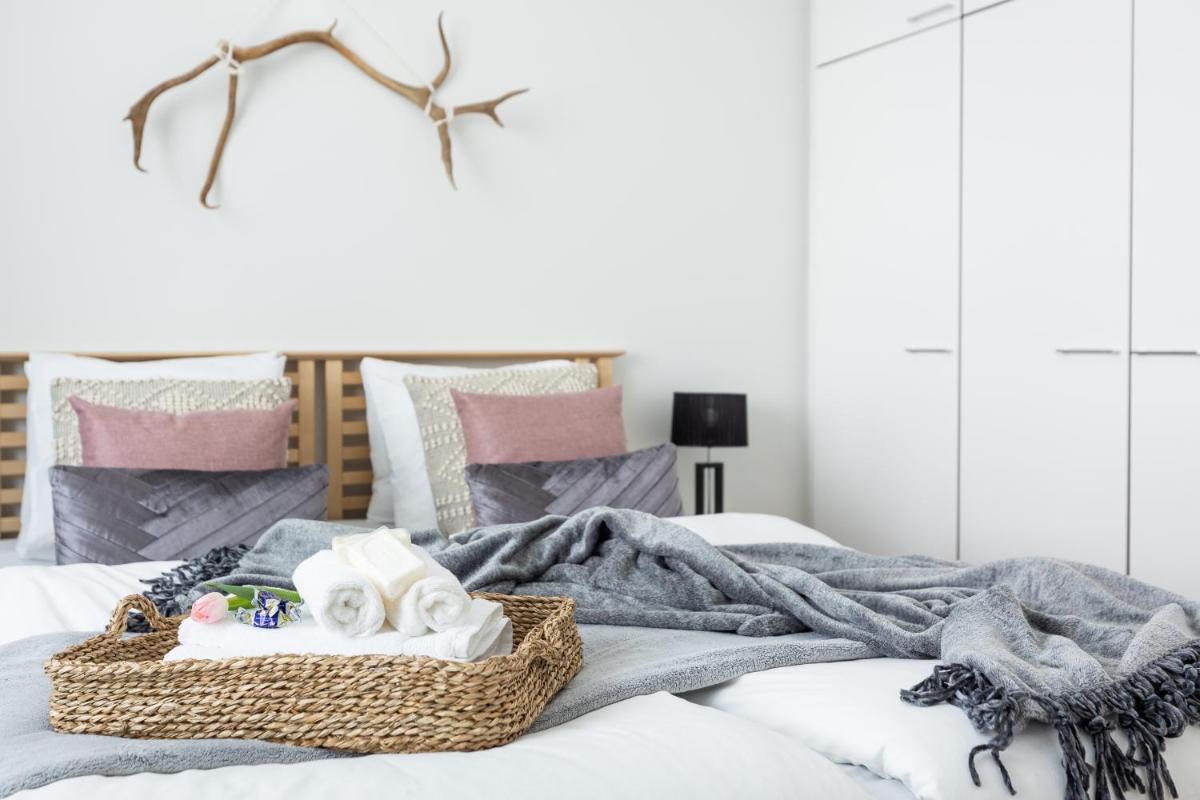 Arctic Aurora City Suite - Housity