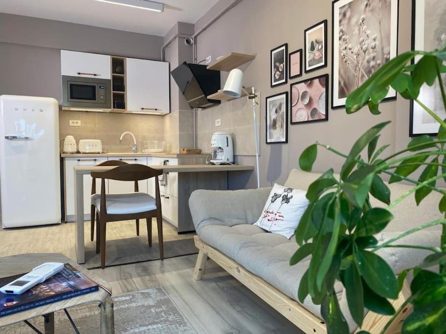 Shi Ti Junior Suite - Housity