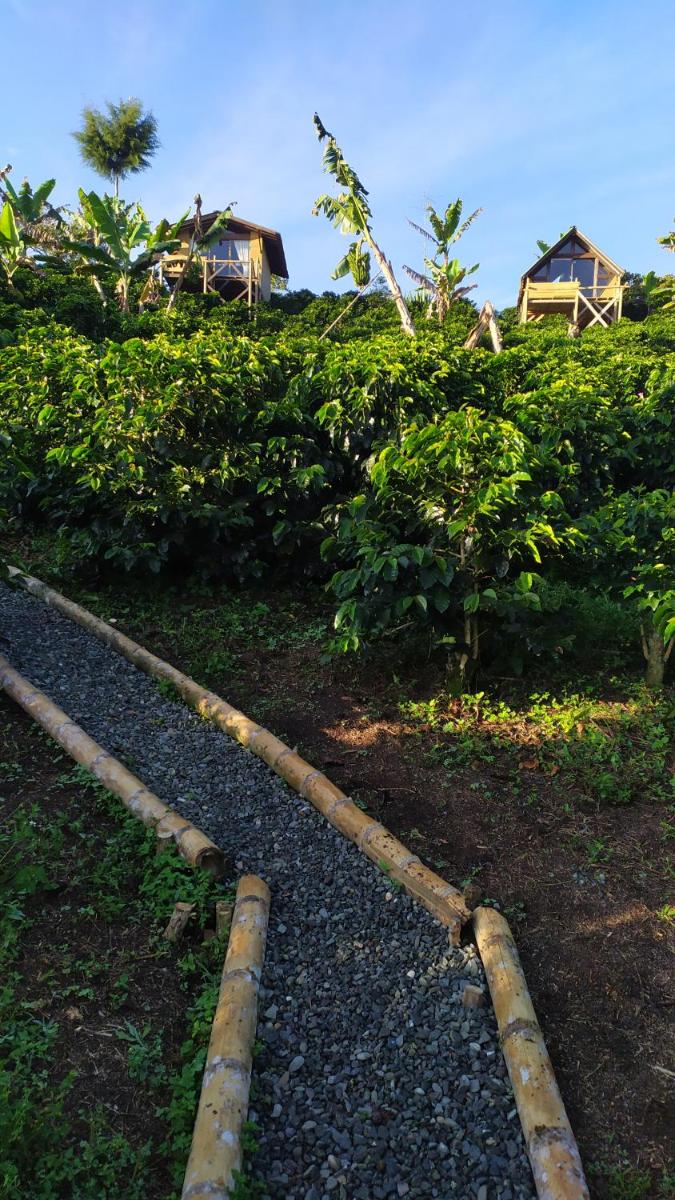 Glamping Jericó - Housity