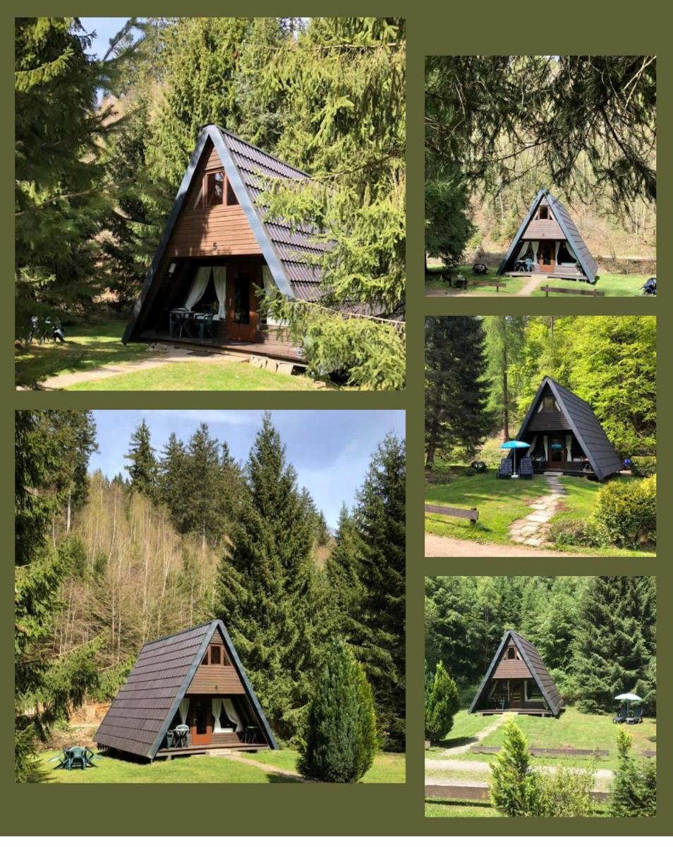 Ferienhäuser Am Waldschlößchen - Housity