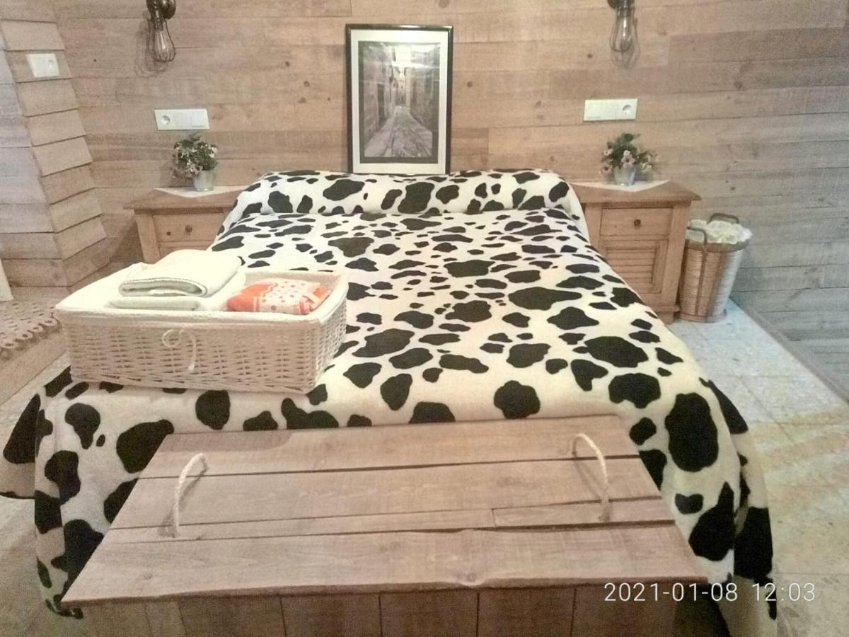 Apartamentos Caleros - Housity