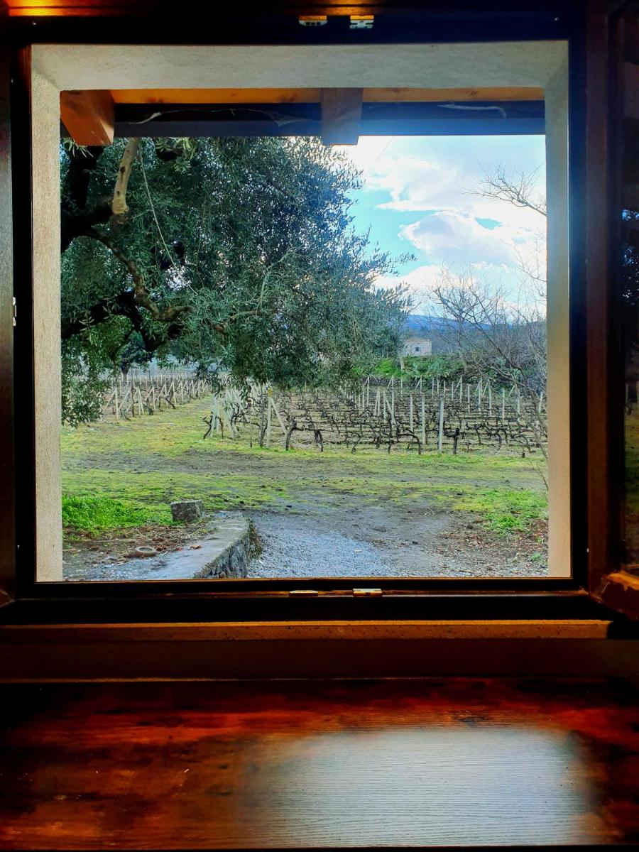 Suitetrails - La finestra sul vigneto