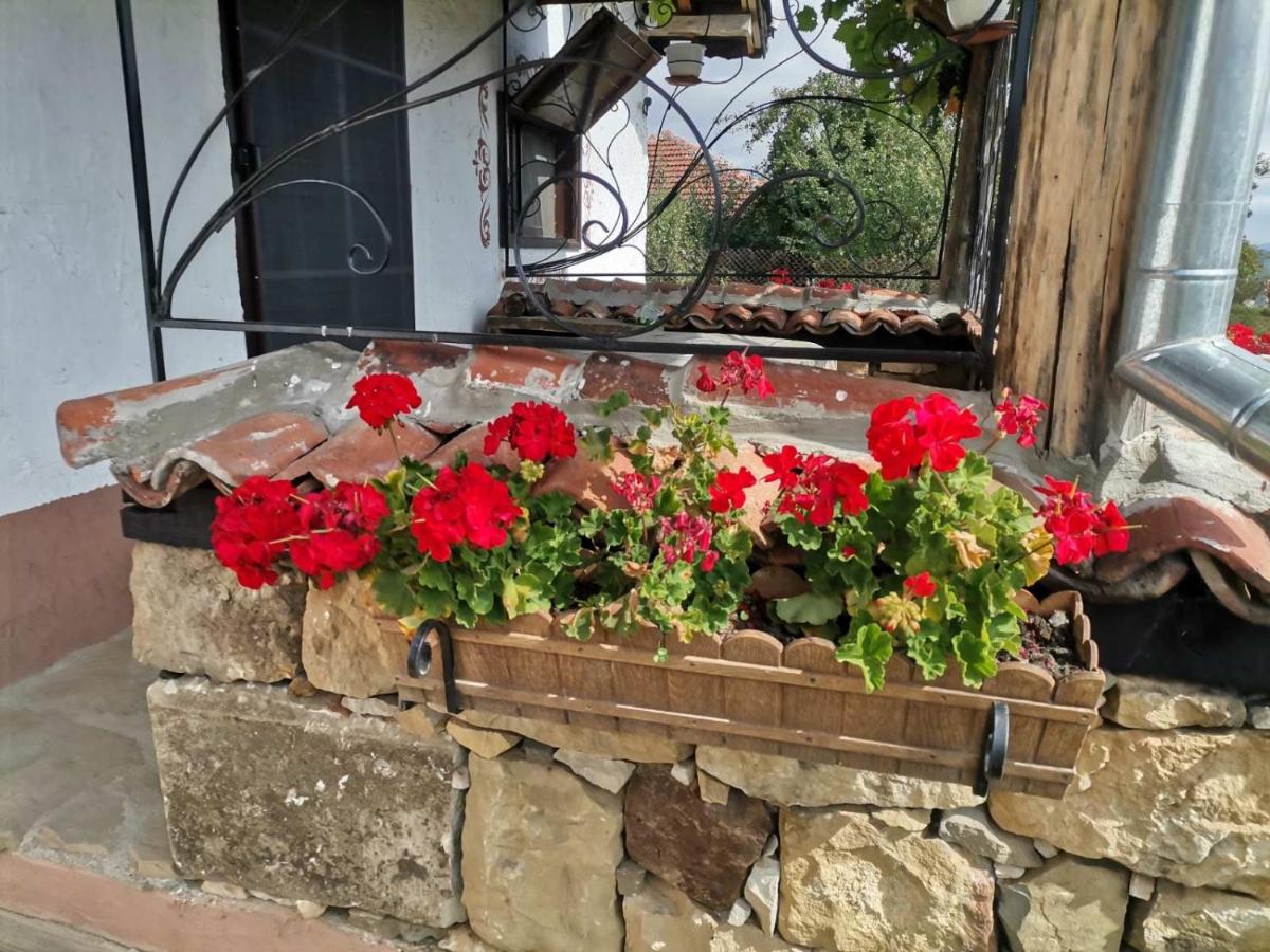 Kshcha za gosti rai elenski balkan - Housity