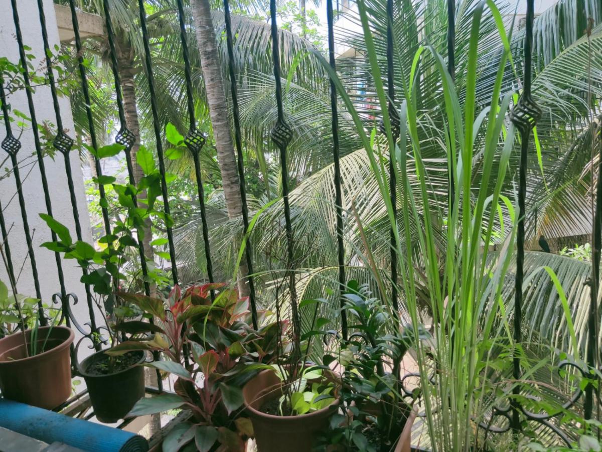 Lovely 1 bedroom rental unit in Mumbai, Carter Road - Housity