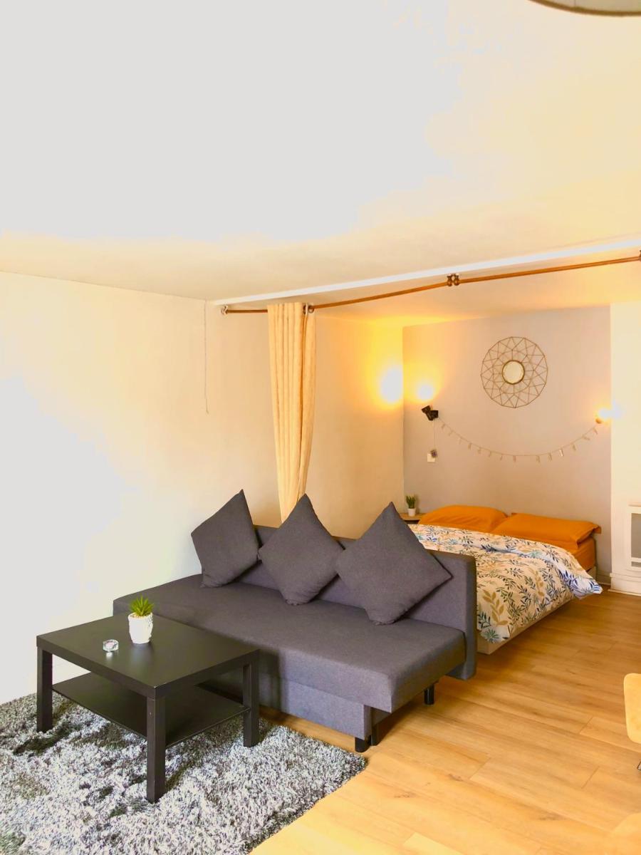 Charmant appartement dans le cœur de la ville - Housity