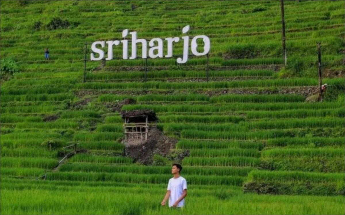 HOMESTAY MBAH POMO SRIHARJO - Housity