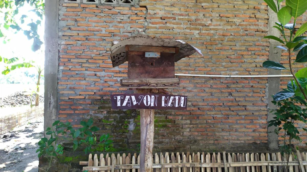 HOMESTAY MBAH POMO SRIHARJO - Housity