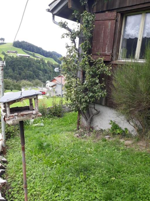 Ferienhaus im Grünen - Housity