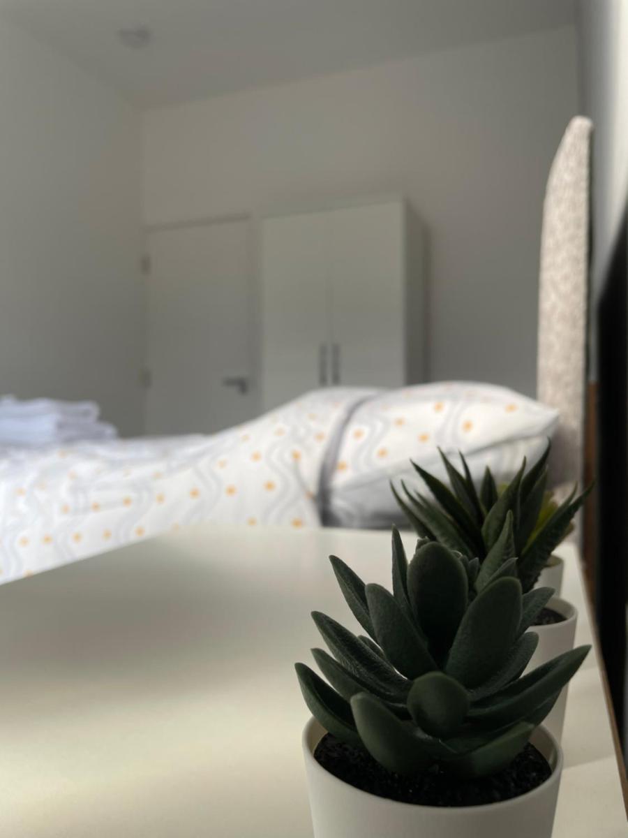 Modern House In Stoke on Trent - Housity