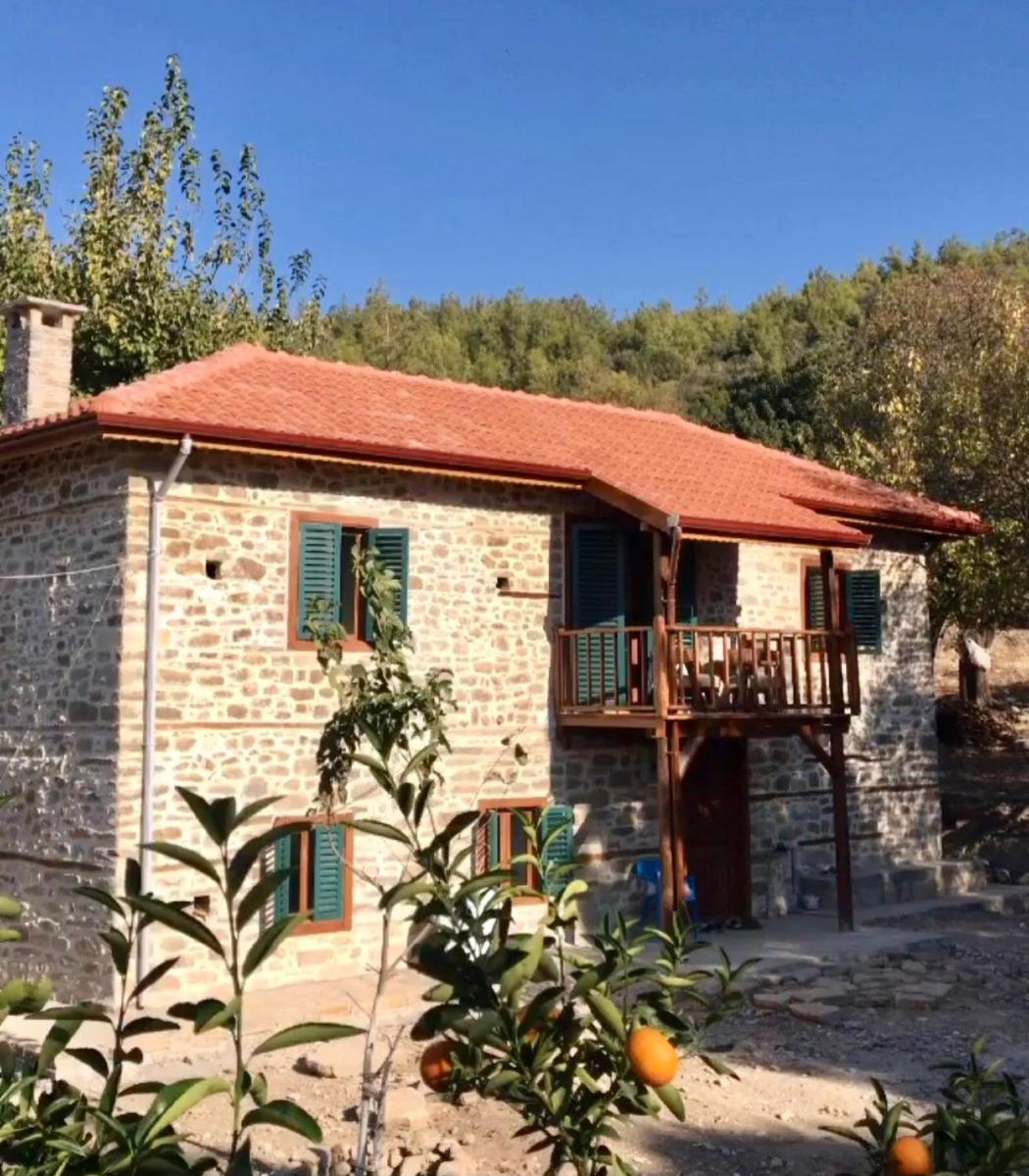Lovely house in the heart of nature - Housity