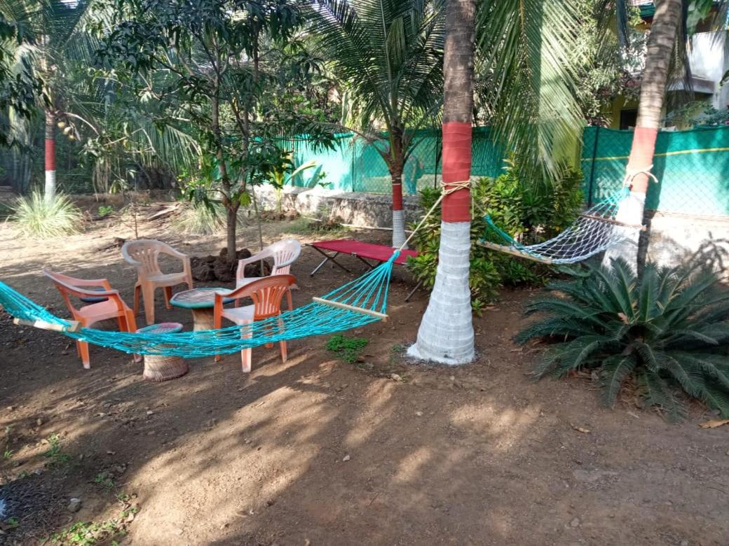 Viva Holiday Homes - Housity