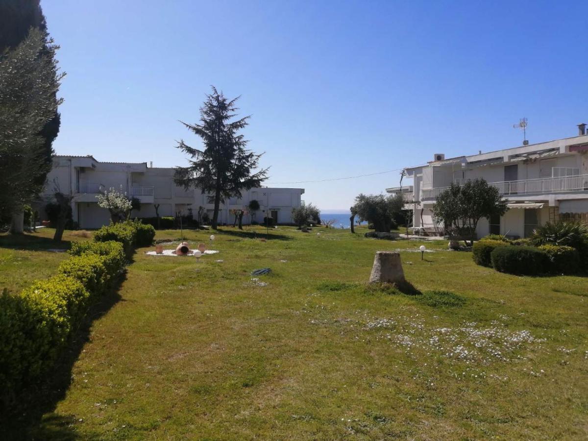 Joy House - Housity