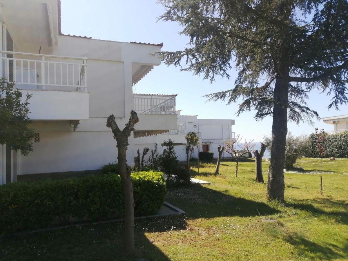 Joy House - Housity