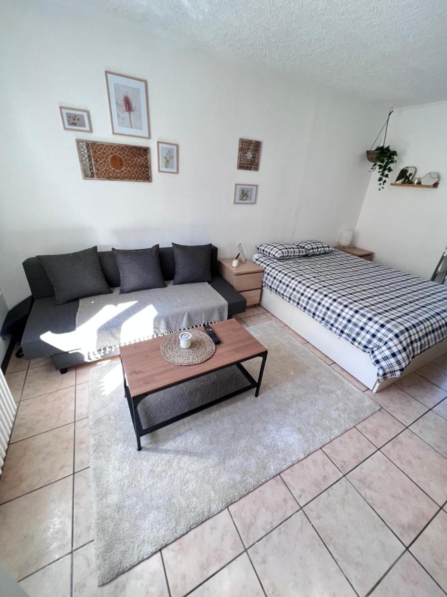 Lilas Margarita - Housity