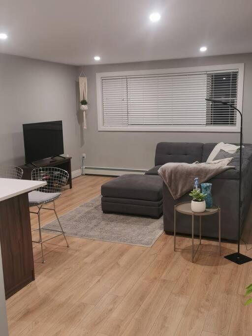 Modern 1 bedroom apartment in Wortley Village - Housity