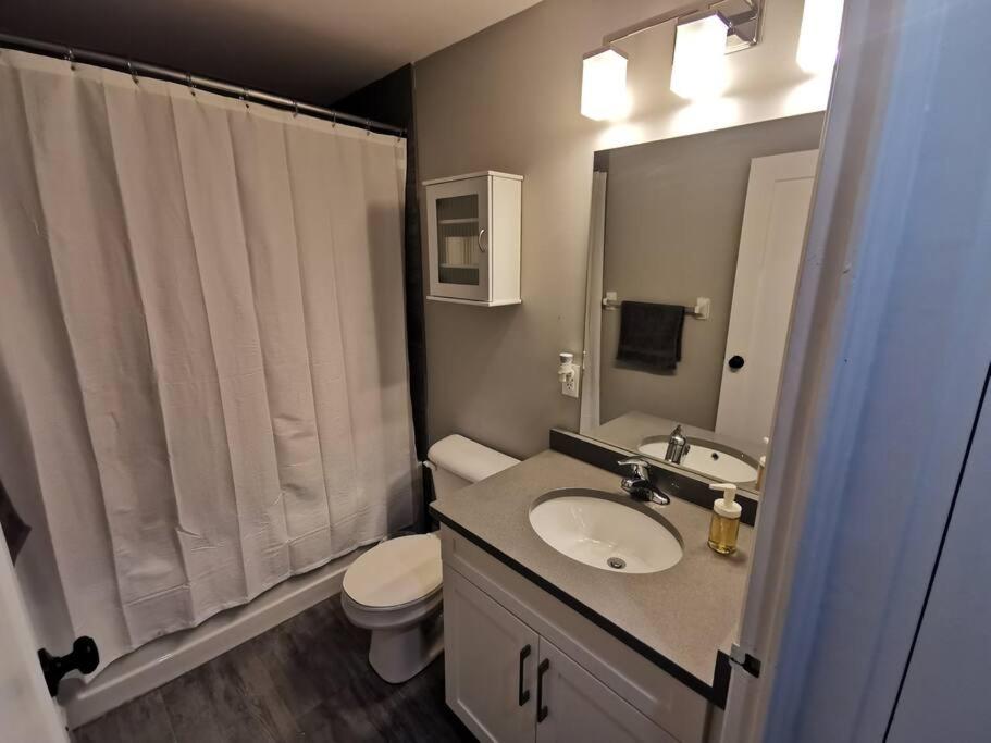 Modern 1 bedroom apartment in Wortley Village - Housity