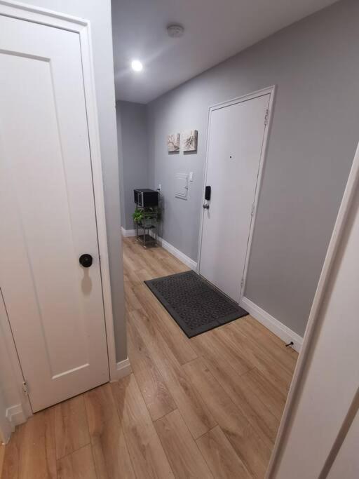 Modern 1 bedroom apartment in Wortley Village - Housity