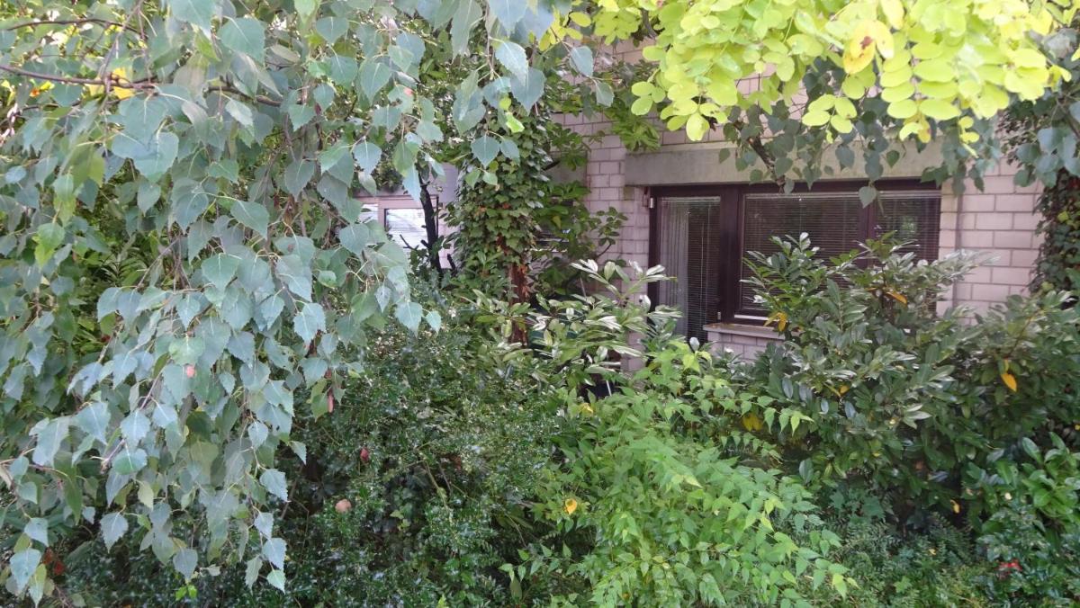 Guest Apartment Unterbach - Housity