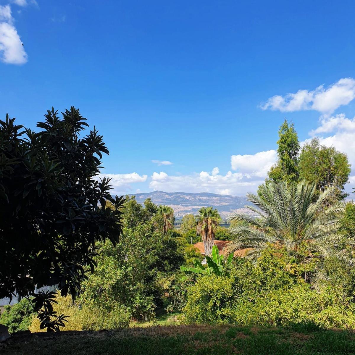 צימר בודד בגליל העליון - Housity
