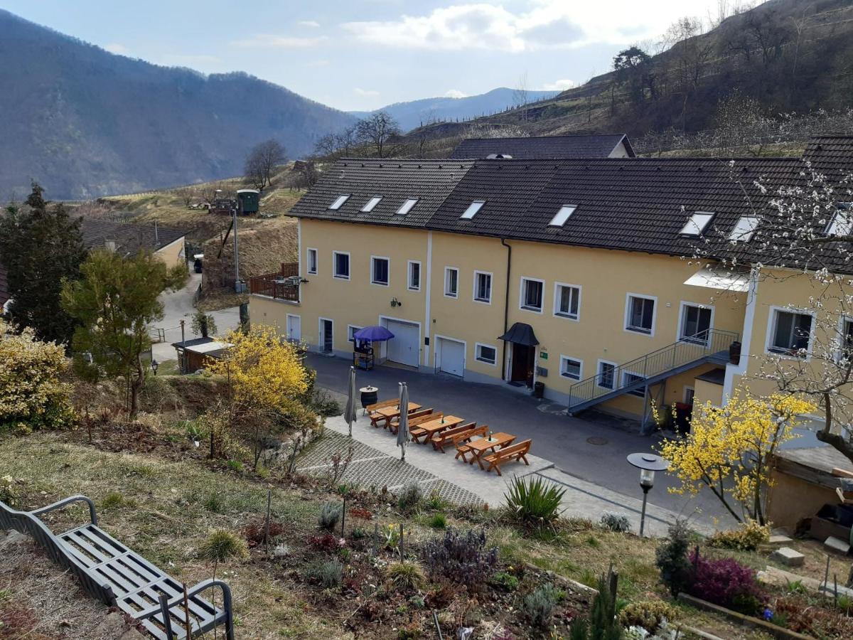 Weinbau Weidenauer - Housity