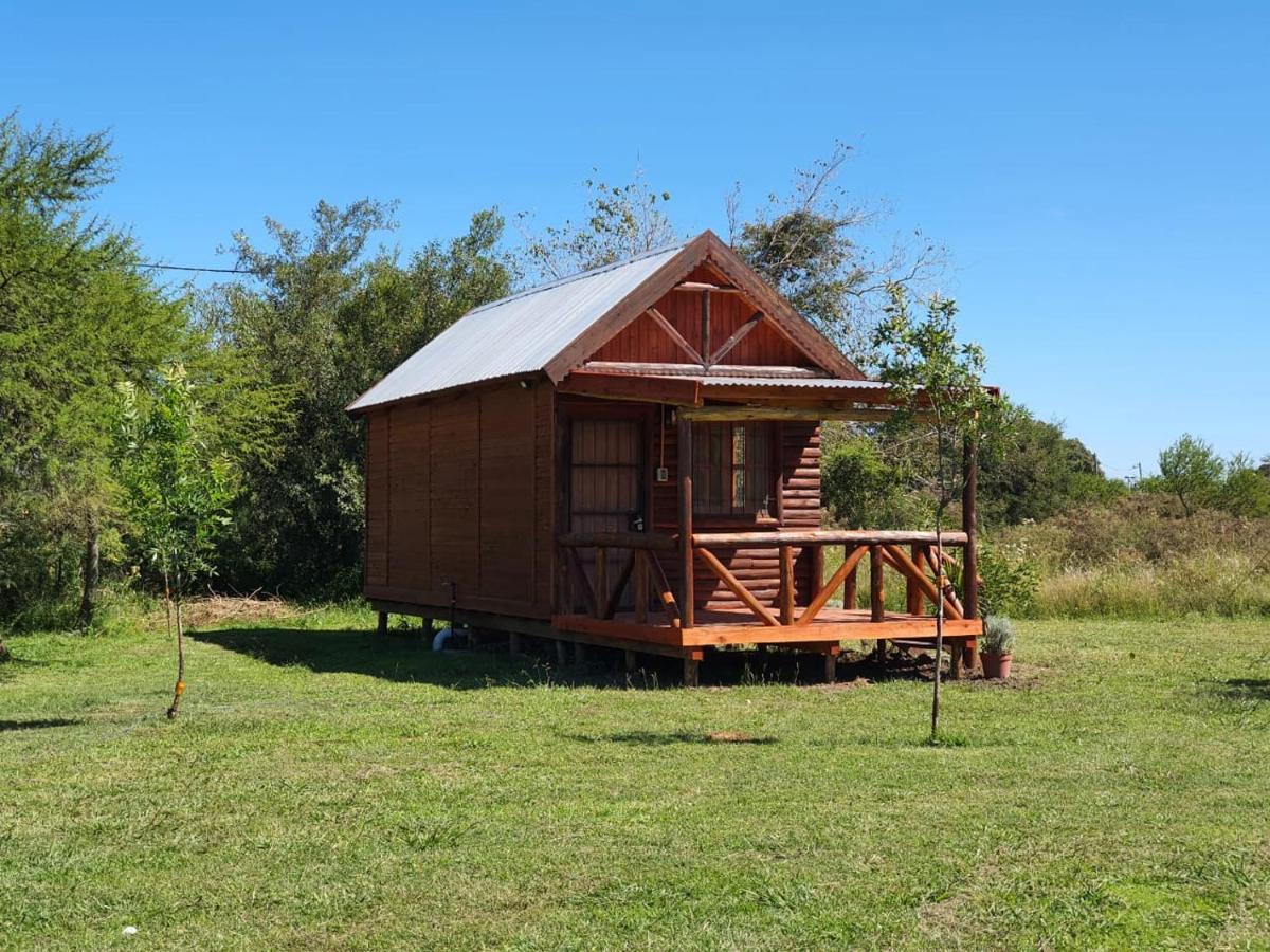 Chacra Mandala - Housity