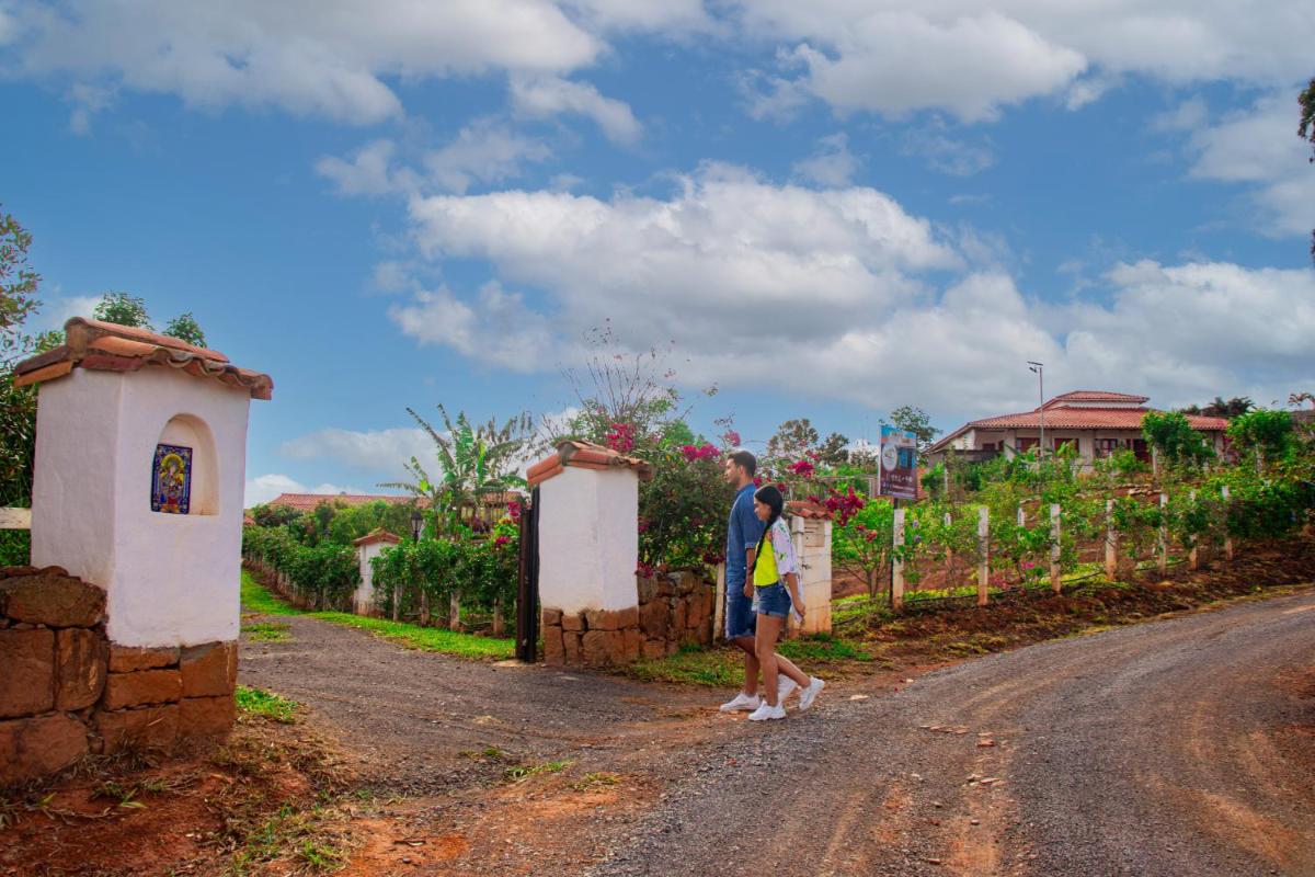 Timbarra Cottage - Housity
