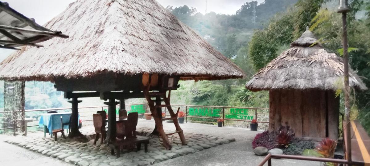 Rice Homestay - Housity