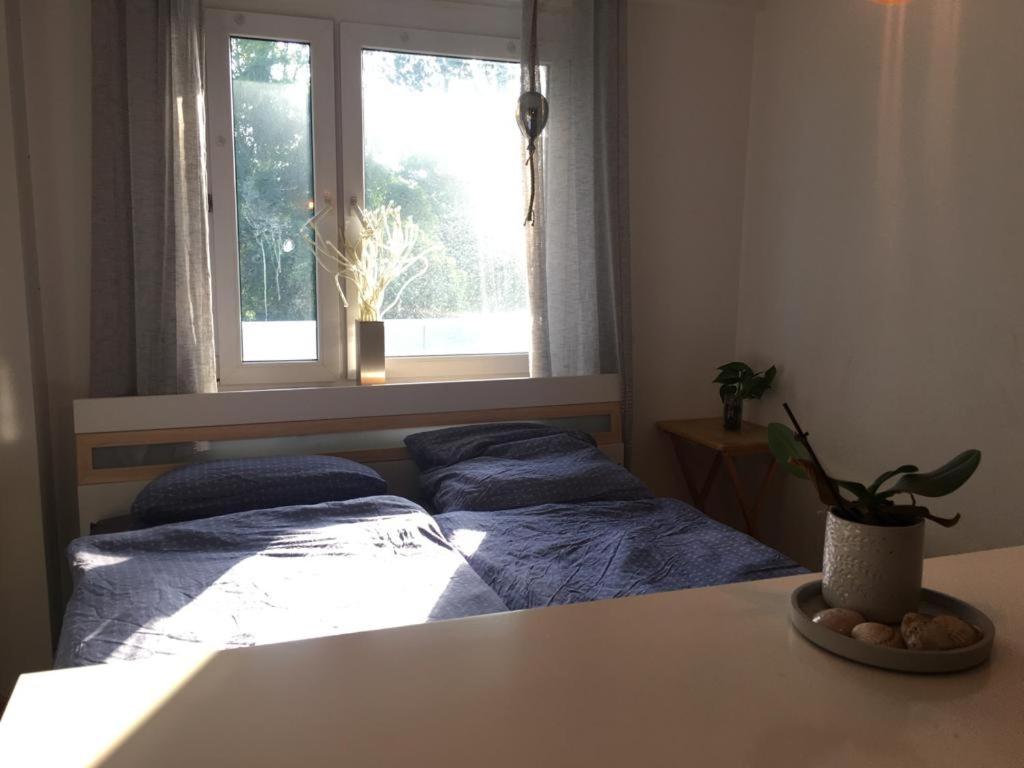 Moderne Wohnung an der Messe - Housity