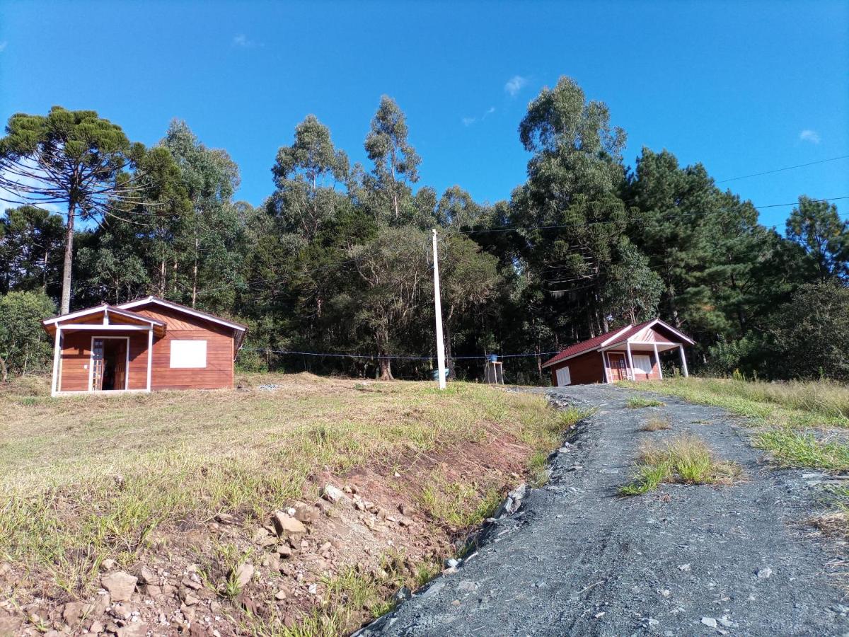 Cabana Uva Niágara - Housity