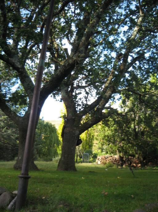 Den Hagen Guest Farm - Housity