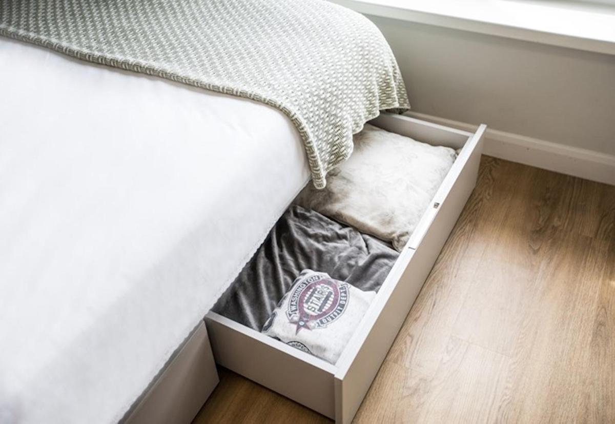 Modern Studios for STUDENTS Only, BRIGHTON - SK - Housity