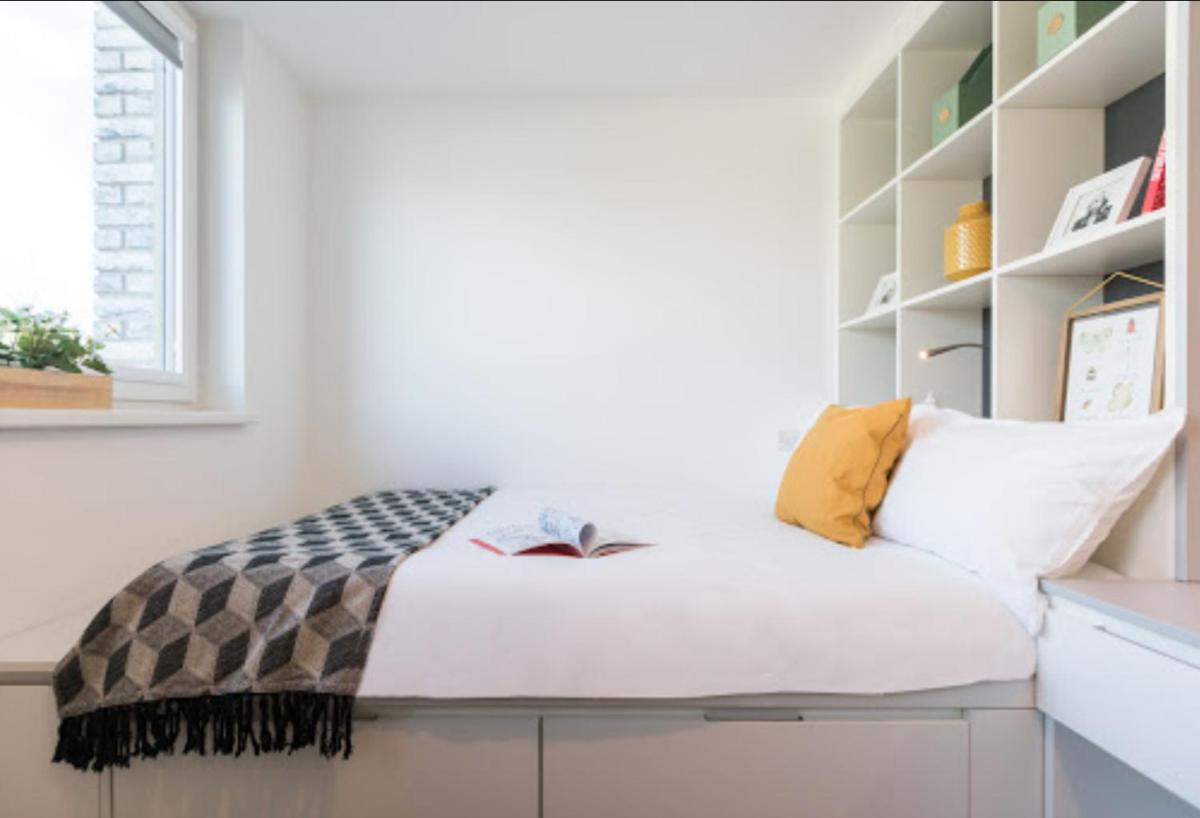 Modern Studios for STUDENTS Only, BRIGHTON - SK - Housity