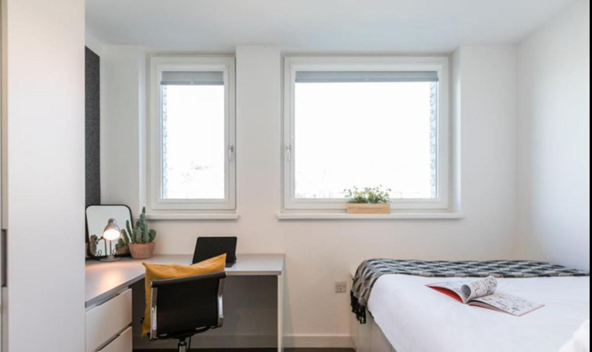 Modern Studios for STUDENTS Only, BRIGHTON - SK - Housity