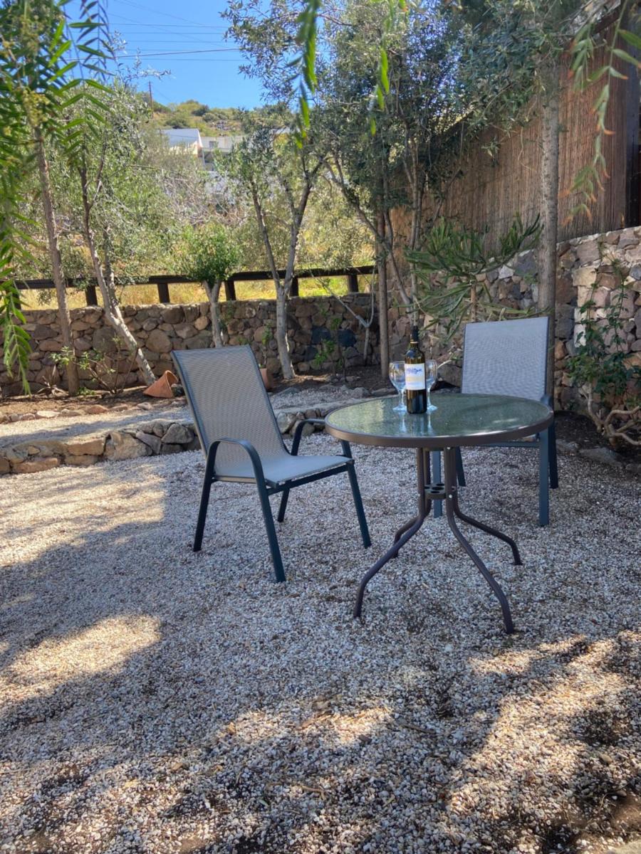 Pepper Tree - Housity