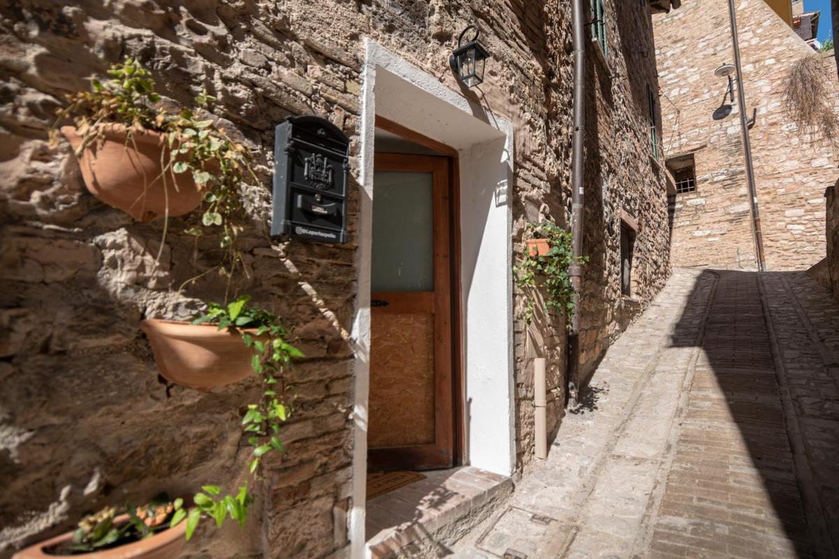 Appartamento La Perla di Spello - Housity