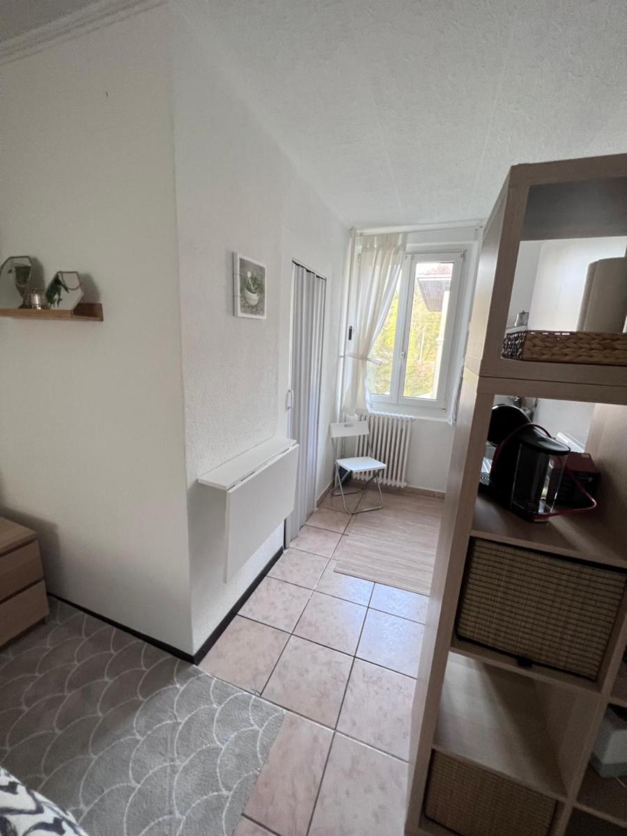 Lilas Margarita - Housity