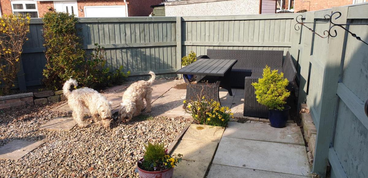 Badger's House, Willow Close, Filey - Housity